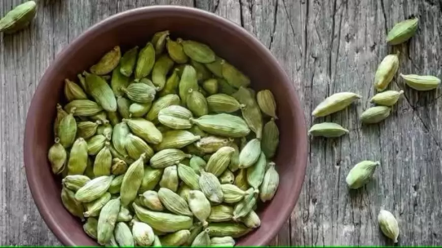 Cardamom Health Benefits: बढ़ते वजन से लेकर पाचन को सही रखने तक, जाने इलायची के फायदे