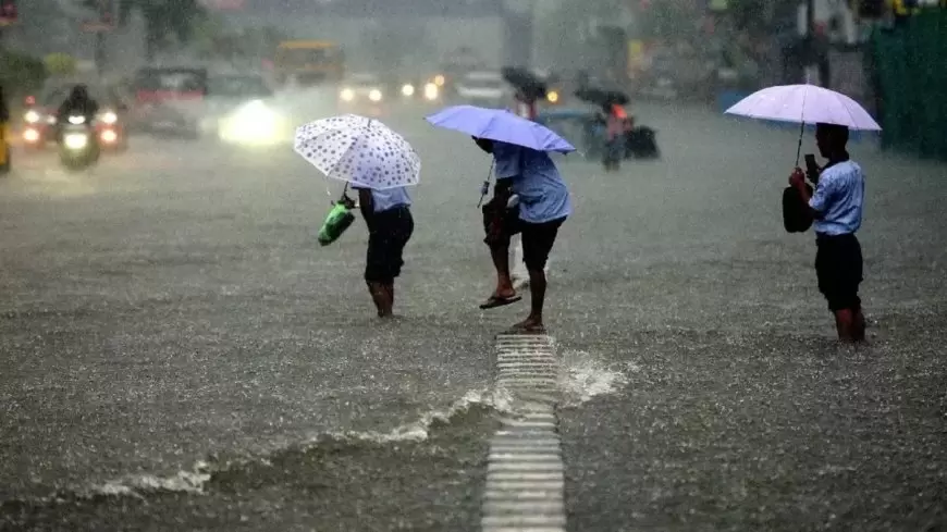 Weather Alert: तीन दिन जमकर बरसेंगे बादल, पश्चिम मध्यप्रदेश, यूपी और गुजरात में भारी बारिश का अलर्ट