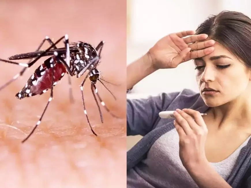 NOIDA DENGUE CASE: नोएडा में बढ़ा डेंगू का कहर, 30 नये मरीज आए सामने