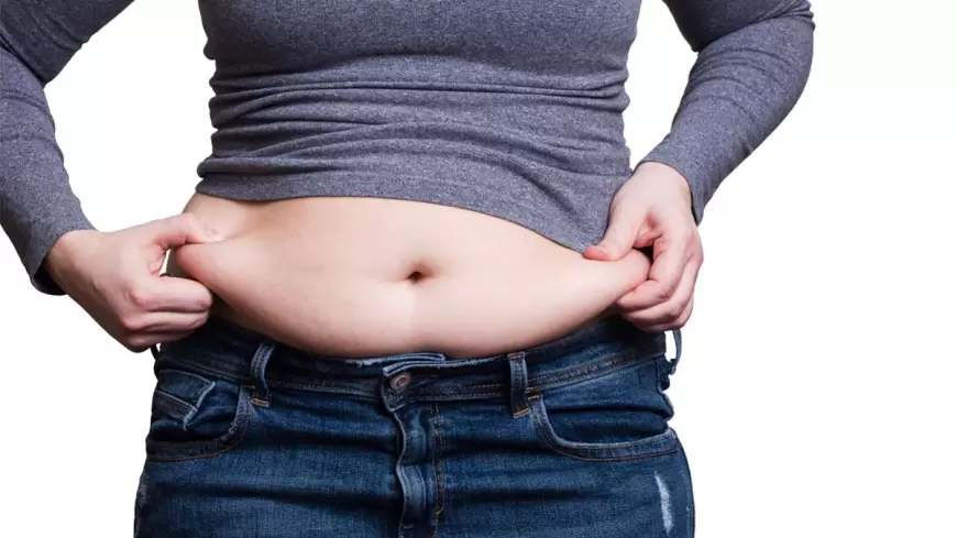 Belly Fat: डेली रूटीन में इन चीजों को करें शामिल,  झट से गायब हो जाएगा बेली फैट