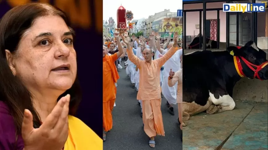 Maneka Gandhi News: इस्कॉन है सबसे बड़ा धोखेबाज, कसाइयों को बेचता है गाय- मेनका गांधी, जानें इस्कॉन की सच्चाई!