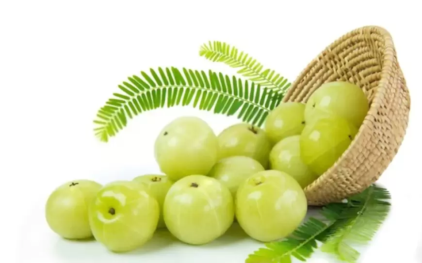 Benefits of Amla: आयुर्वेद में वरदान माना गया है आंवला ,जानिए इसके फायदे