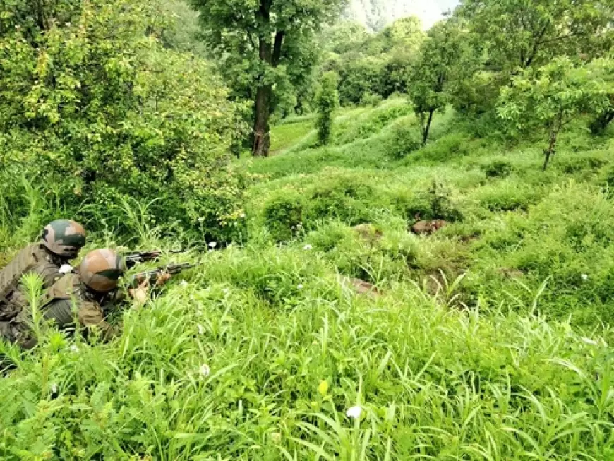 जम्मू-कश्मीर में अंतरराष्ट्रीय सीमा पर पाकिस्तानी रेंजर्स की गोलीबारी में बीएसएफ के दो जवान घायल