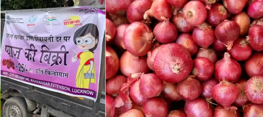 Cheap onion in Lucknow: प्याज के बढ़ते दामों के बीच लखनऊ में इन 13 जगहों पर मिल रहा सस्ता प्याज