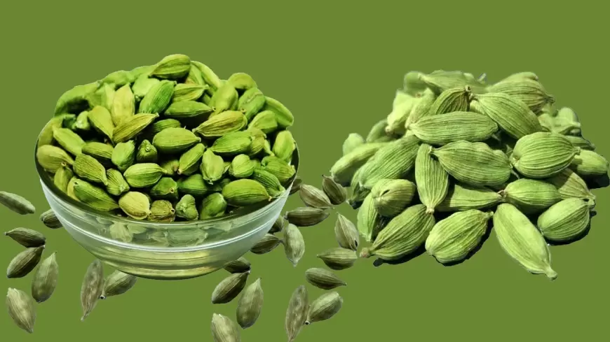 CARDAMOM BENEFITS : जानिए छोटी इलायची के बड़े फायदे