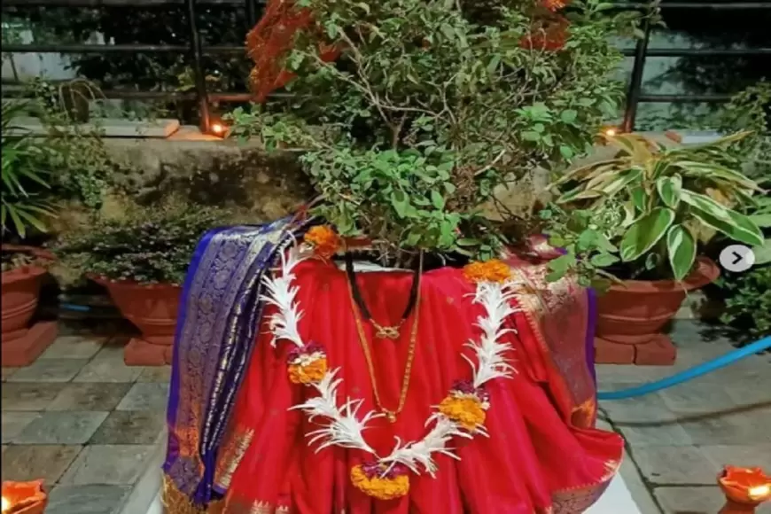 TULSI VIVAH 2023 : तुलसी विवाह का क्या है शुभ मुहूर्त  जानियें इससे जुड़ी कथा और पूजा विधि