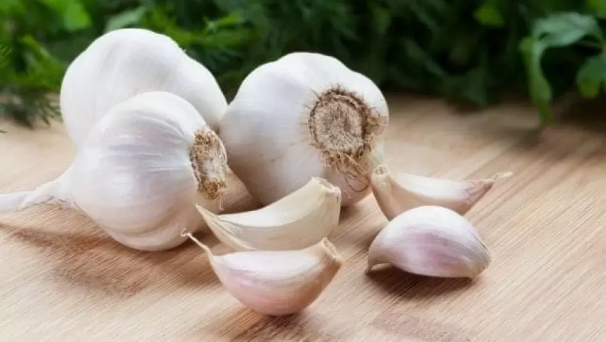 Garlic Benefits: ठंड में खाएं लहसुन, मिलेंगे चमत्कारी फायदे