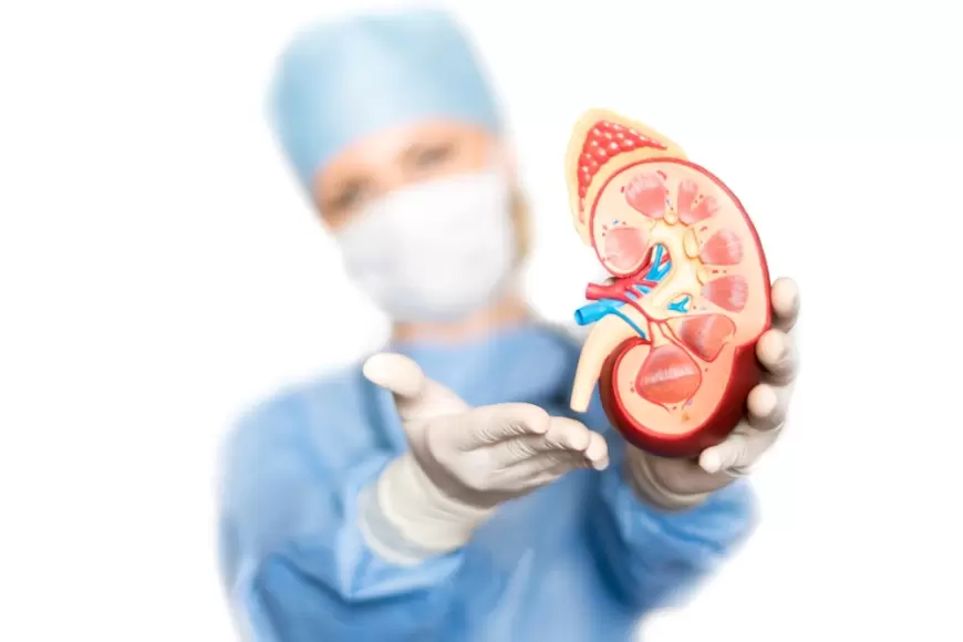 Kidney Transplant in Prayagraj: प्रयागराज के स्वरुप रानी में भी जल्द शुरु होगा गुर्दा प्रत्यारोपण