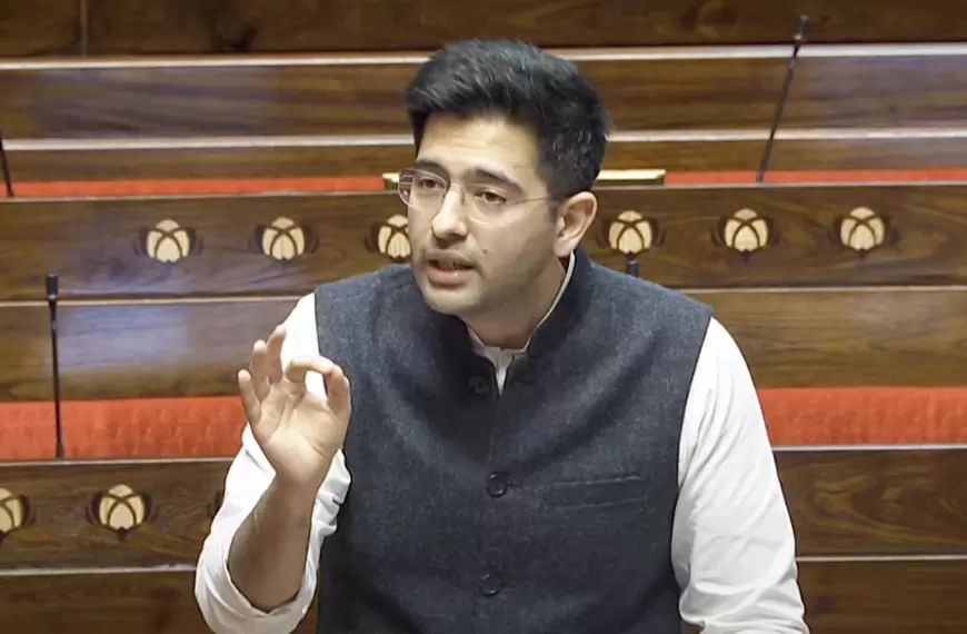 Rajya Sabha MP Raghav Chadha: आम लोगों की बात छोड़िए, सांसदों का घर छीना जा रहा है - राघव चड्ढा