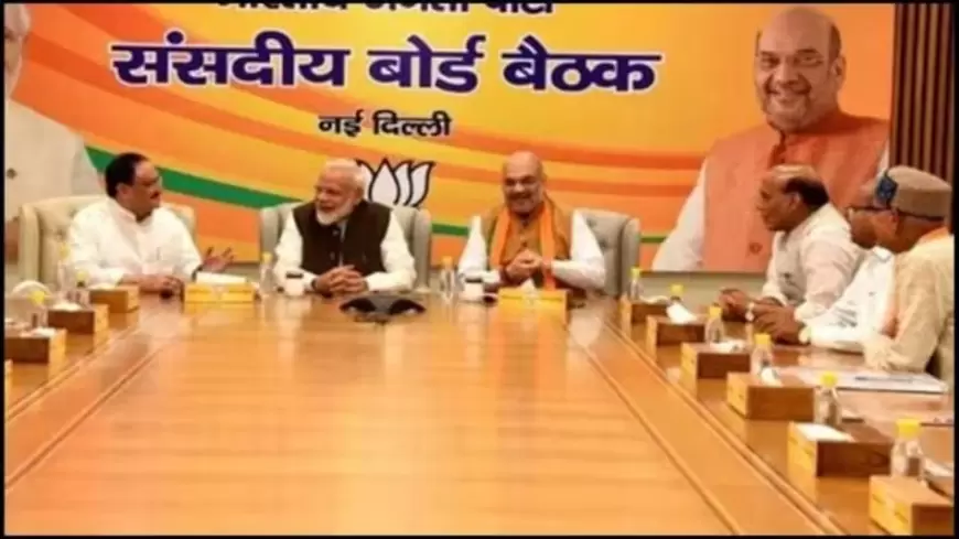 BJP parliamentary meeting: चुनावों में मिली जीत को लेकर भाजपा संसदीय दल की बैठक में पीएम मोदी का किया गया अभिनंदन