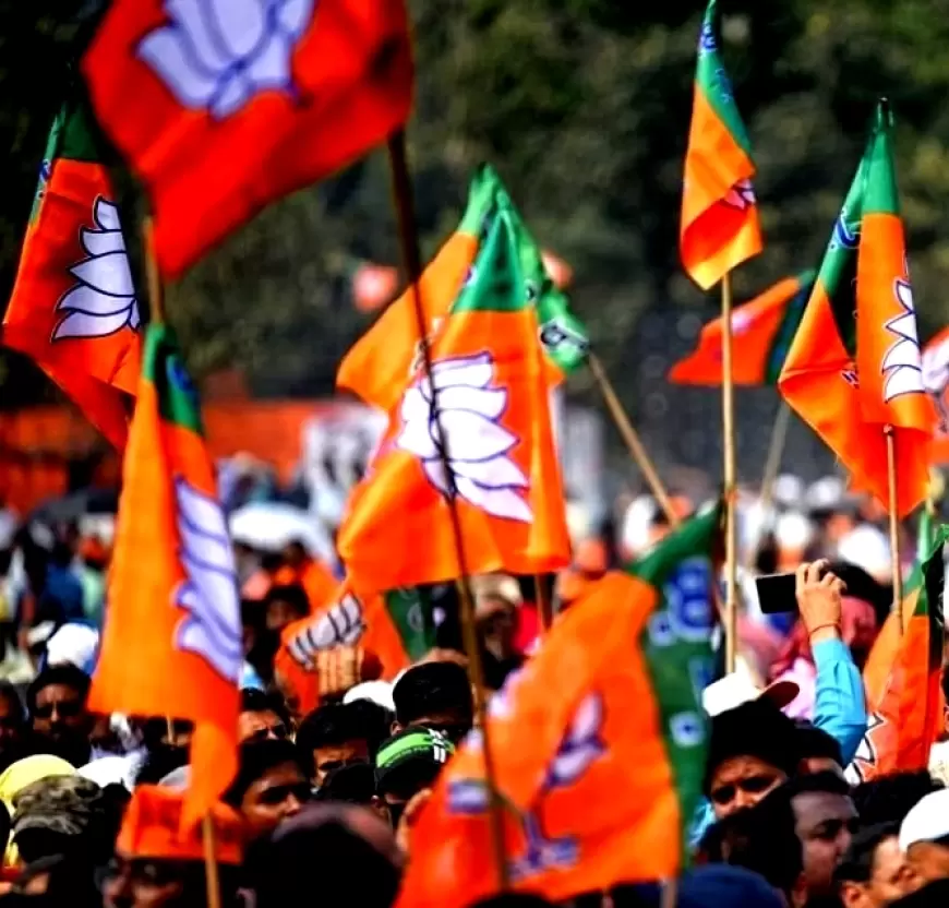 BJP in Chhattisgarh: छत्तीसगढ़ में भाजपा के लिए 'मिशन 11' है बड़ी चुनौती