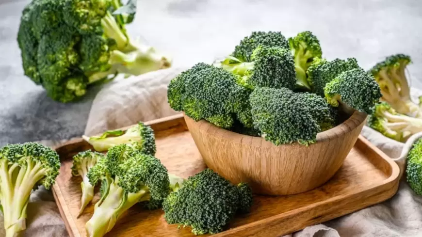 Broccoli use : सर्दियों में अपनी डाइट में शामिल करें ब्रोकली, स्वाद के साथ मिलेगा सेहत का आनंद