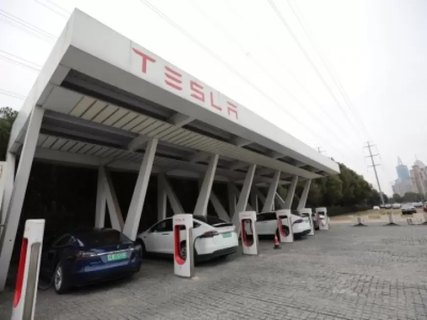 Tesla Has Software Problem: टेस्ला ने सॉफ्टवेयर समस्या के कारण 4,000 से अधिक वाहन वापस मंगाए