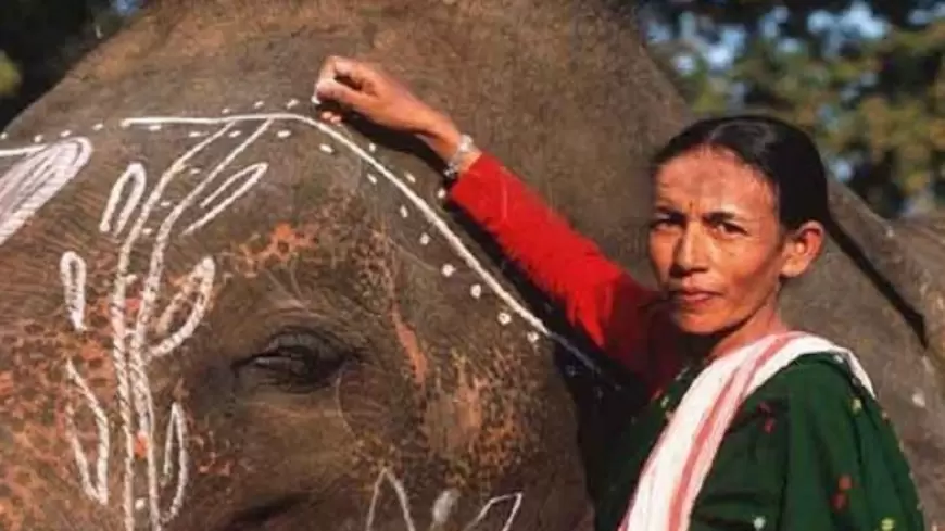 India First Female Mahout: असम की 'एलिफेंट गर्ल' को मिला पद्मश्री, भारत की हैं पहली महिला महावत