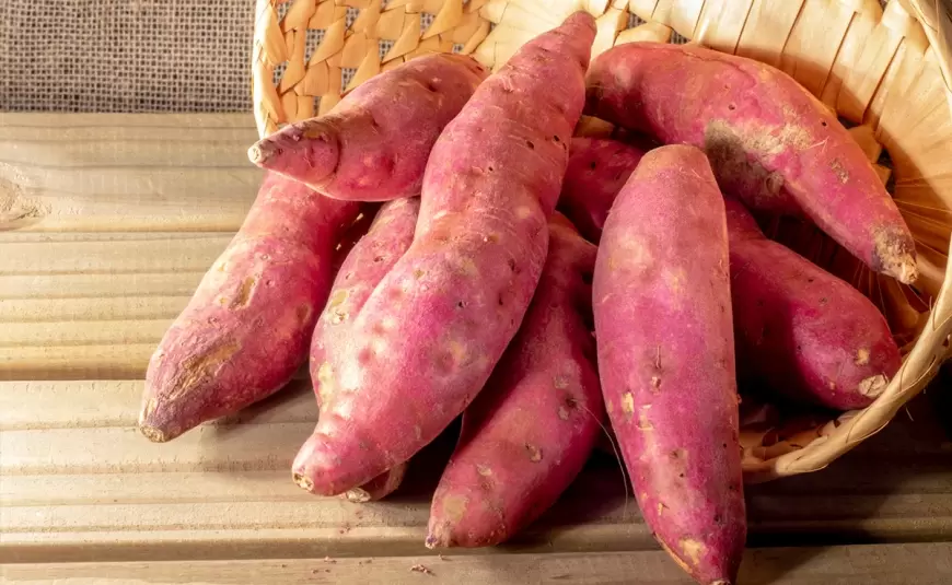 Disadvantages Of Sweet Potatoes: शकरकंदी का न करें अधिक सेवन बिगड़ सकता है शरीर का संतुलन