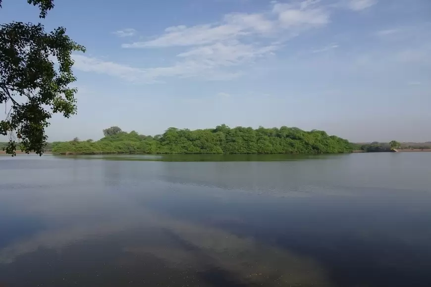 Ramsar Site In Tamilnadu : तमिलनाडु के दो और स्थानों को रामसर स्थल घोषित किया गया