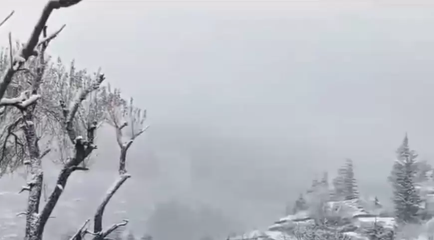 Today Weather in Uttarakhand : उत्तराखंड में पहाड़ों पर बर्फबारी, मैदानी इलाकों में बारिश, देहरादून में गिरे ओले