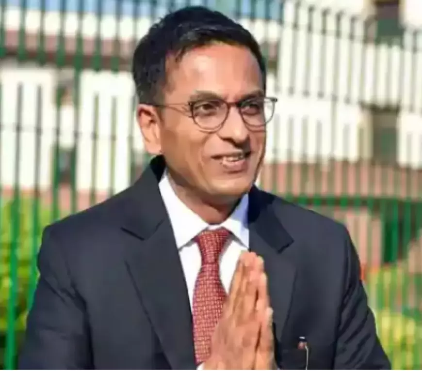 CJI and CM in Prayagraj : राष्ट्रीय विधि विश्वविद्यालय का उद्घाटन करने कल प्रयागराज आएंगे CM योगी और चंद्रचूण