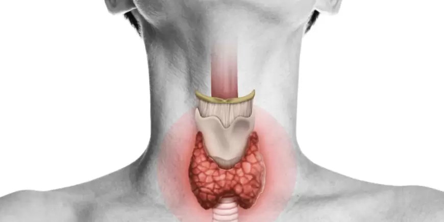 Thyroid problem in Female: क्यों होता है थायराइड ?, जानें इसके लक्षण और बचाव का तरीका