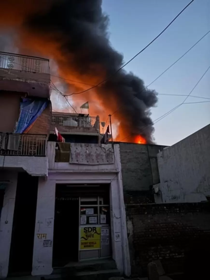 Delhi Factory Fire  : दिल्ली में पेंट फैक्ट्री में आग, 11 लोगों की मौत 4 घायल