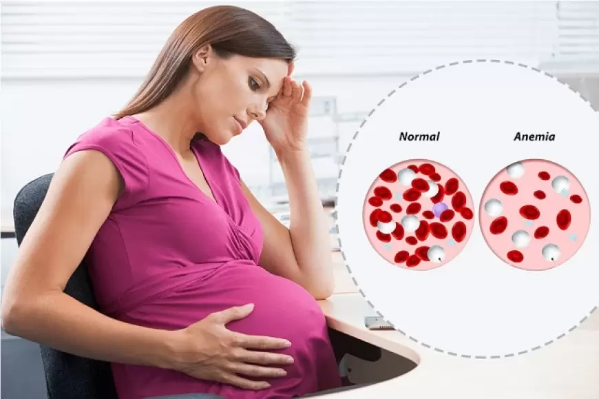 Anemia in Women: प्रेगनेंसी के दौरान हो रही है खून की कमी, तो कहीं आप भी एनिमिया के शिकार तो नही!