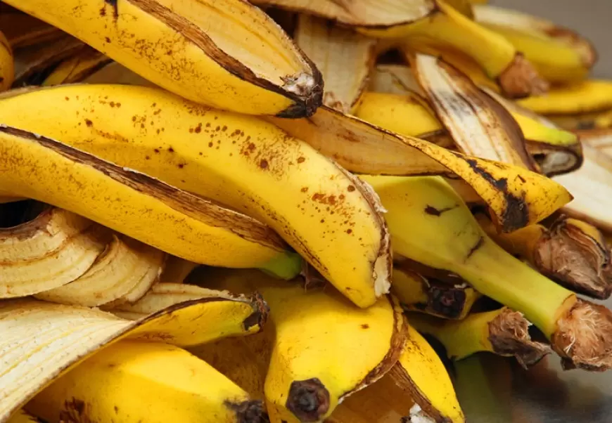 Banana Peel Benefits: गलती से भी न फेंके केले का छिलका, इन कामों में कर सकता है मदद