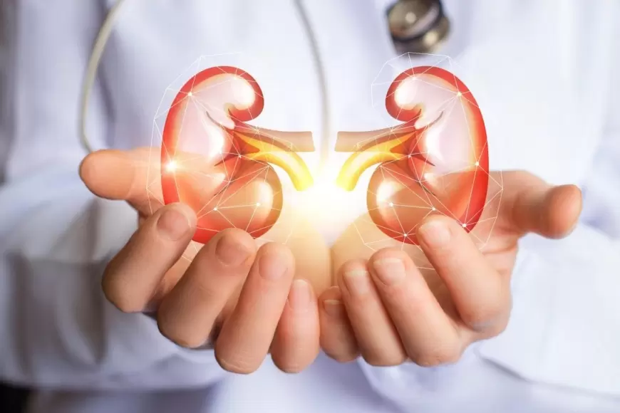 Ways to Keep Kidneys Healthy : 7 ऐसे फूड जिसका सेवन करकेआप अपनी किडनी को रख सकते हैं स्वस्थ