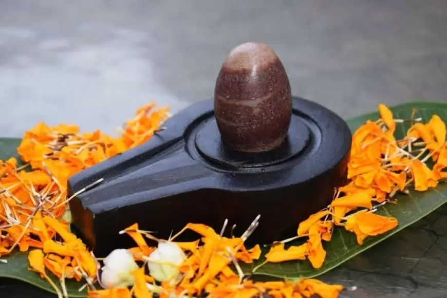 Shivling sthapna niyam: घर में शिवलिंग स्थापित करते समय इन बातों का रखें खास ख्याल, वरना महाकाल हो जायेंगे नाराज