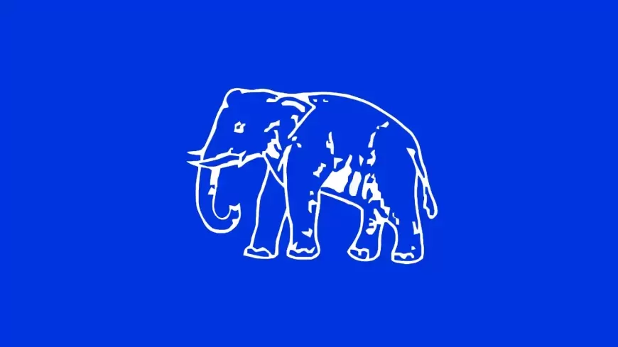 BSP Candidate Fourth List : बसपा की चौथी लिस्ट जारी, 9 प्रत्याशियों  के नाम का ऐलान