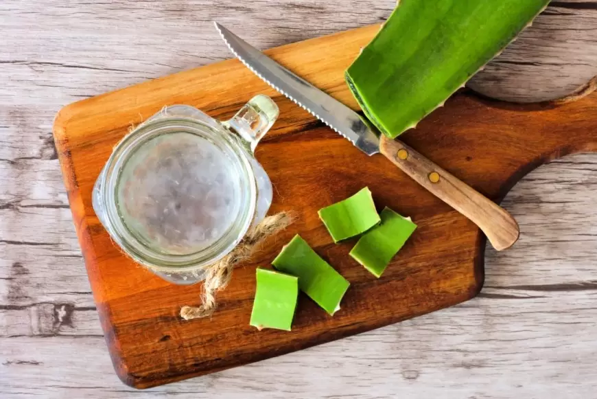 Use of Boiled Aloevera: ऐलोवेरा को उबाल कर करें इस्तेमाल,रिजल्ट देख हो जायेंगे हैरान!