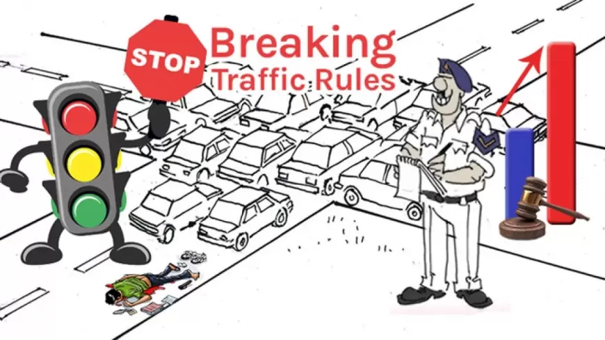 Traffic Rules In India: गाड़ी चलाते समय इन बातों का रखें ध्यान, नही तो कट जायेगा चालान