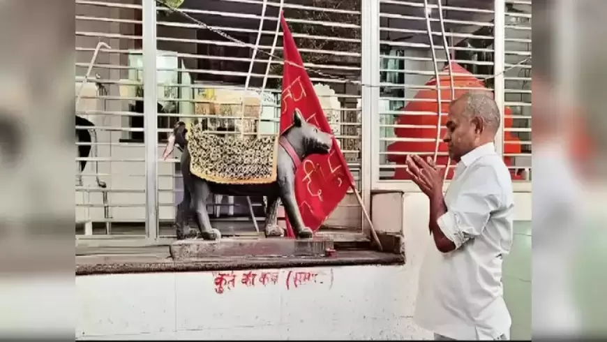 Bulandshahr Dog Temple: यूपी का एक ऐसा मंदिर जहां देवी देवता नही बल्कि श्वान की होती है पूजा