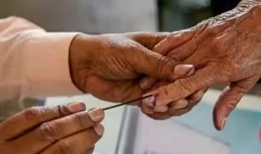 Voting in Chhattisgarh : मतदाताओं के लिए सुनहरा उपहार, उंगली पर नीली स्याही दिखाएं और उत्पादों पर छूट पाएं