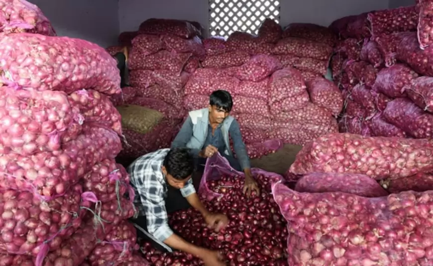 Export of Onion: लोकसभा चुनाव के बीच केंद्र सरकार का बड़ा फैसला, प्याज के निर्यात से हटाया बैन