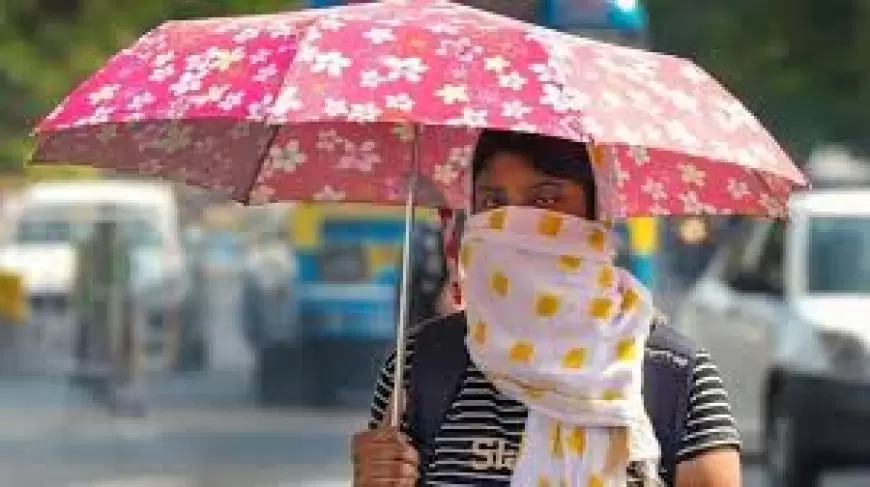 Heatwave Alert: यूपी, दिल्ली समेत 5 राज्यों में हीटवेव का अलर्ट, 47 डिग्री के ऊपर पहुंचा तापमान