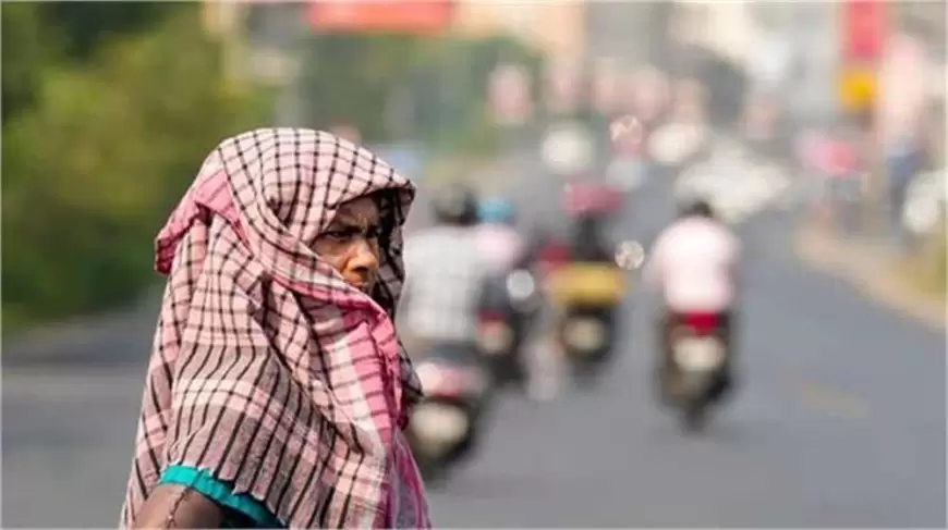 Heatwave Alert: दिल्ली-यूपी समेत 6 राज्यों में हीटवेव का रेड अलर्ट, लगातार सबसे गर्म रहा राजस्थान का फलोदी