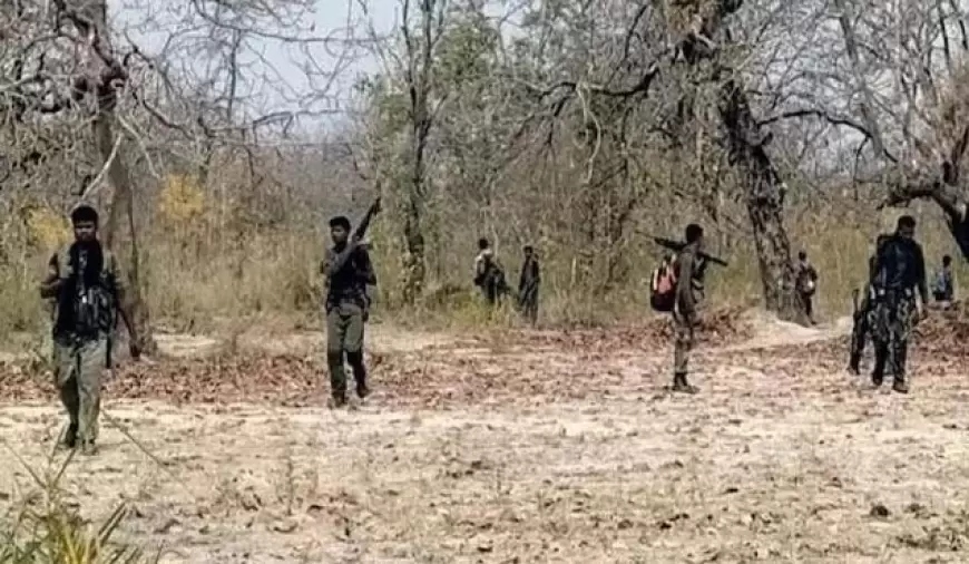 Chhattisgarh Naxal encounter: छत्तीसगढ़ में जवानों और नक्सलियों के बीच मुठभेड़ जारी, 8 नक्सली ढेर, एक जवान शहीद