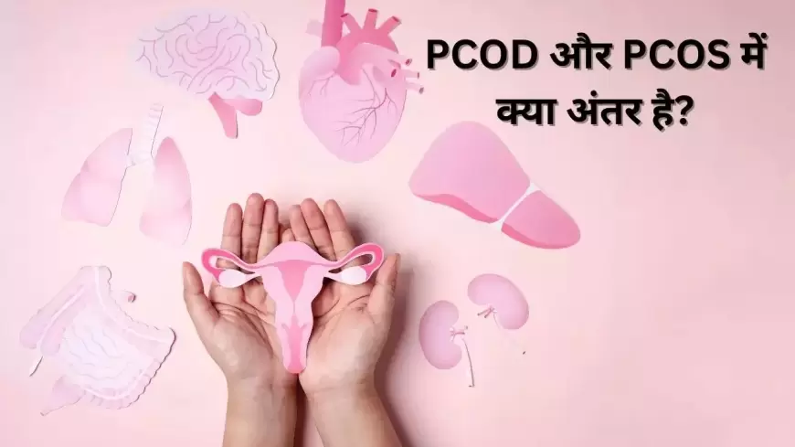 PCOD &  PCOS: PCOD और PCOS में क्या है अंतर, कैसे करें इसकी पहचान?