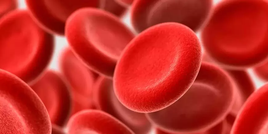 Hemoglobin Increasing Tips: शरीर में हो रही है खून की कमी तो इन चीजों का करें सेवन