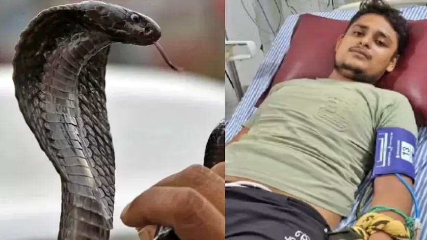 Fatehpur Snake Bite Case: विकास दुबे को आखिर क्यों सांप ने 7 बार काटा, सामने आया पूरा सच !