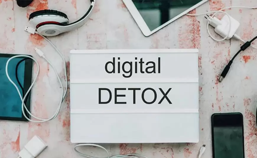 Social media detox: बॉडी ही नहीं माइंड को भी करे डिटॉक्स, बेहतर मेंटल हेल्थ के लिए जरूरी हैं ये कदम