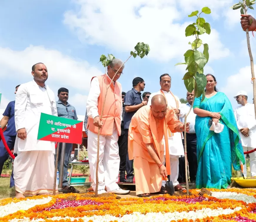 CM Yogi: सीएम योगी ने अकबर नगर में लगाया पीपल-बरगद का पौधा, कहा- ग्लोबल वार्मिंग से बचने के लिए लगाना होगा पेड़