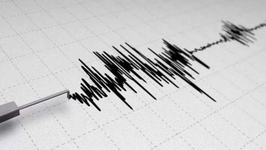 Earthquake In Indonesia: इंडोनेशिया के पापुआ में आया 5.3 तीव्रता का भूकंप, झटको से सहमे लोग