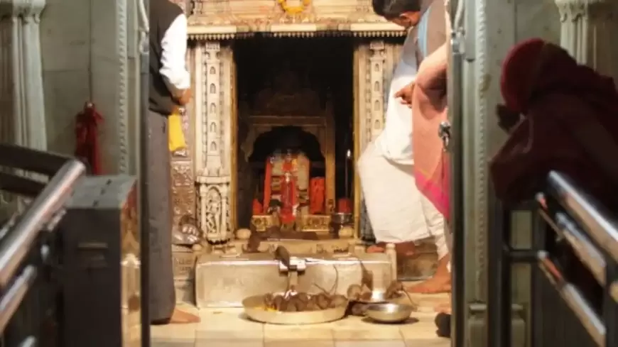 Chuho Wala Mandir:बीकानेर में है ऐसा अनोखा मंदिर जहां चूहों का झूठा दिया जाता है प्रसाद में