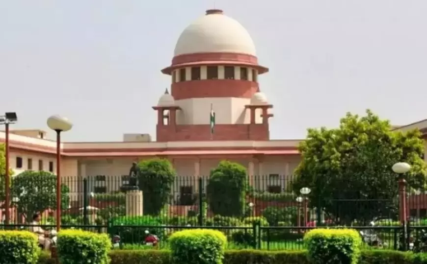 Supreme Court: कोलकाता रेप-हत्या केस में सुप्रीम कोर्ट ने की सुनवाई, CJI ने सरकार-पुलिस को जमकर फटकार लगाई