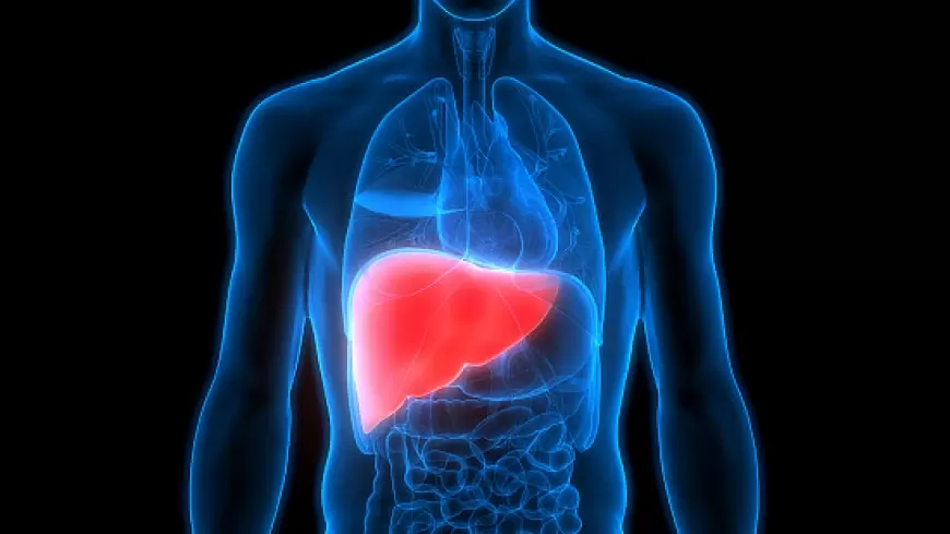 Liver Care Tips:लिवर को रखना है हेल्दी तो अपनायें ये आसान टिप्स