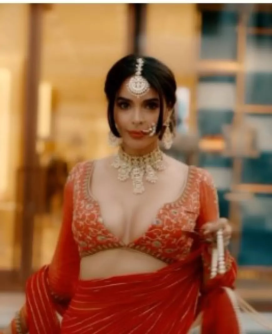 Mallika Sherawat News Video: मल्लिका शेरावत ने गिराई बिजली, डीपनेक ब्लाउज में देख फैंस के छूटे पसीने