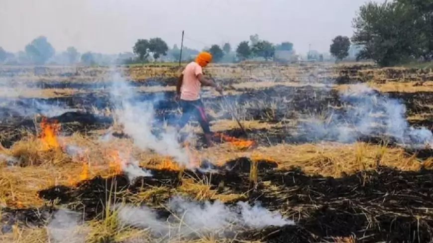 Centre's big action on stubble burning: पराली जलाने पर केंद्र का एक्शन, दोगुना किया जुर्माना, अब 5 से 30 हजार तक लगेगी पेनाल्टी