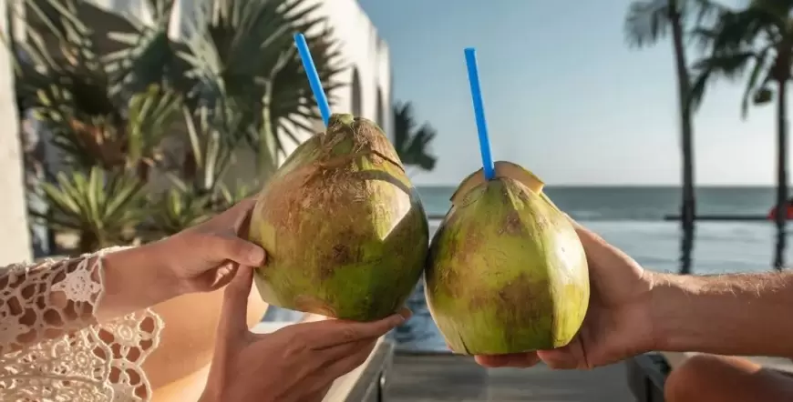 Benefits of Coconut Water: सर्दियों के दिनों में शरीर को रखना चाहते हैं सेहतमंद, तो रोजाना पिएं नारियल का पानी